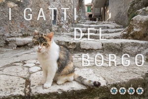 i-gatti-del-borgo-base-01-scritta with Level-min